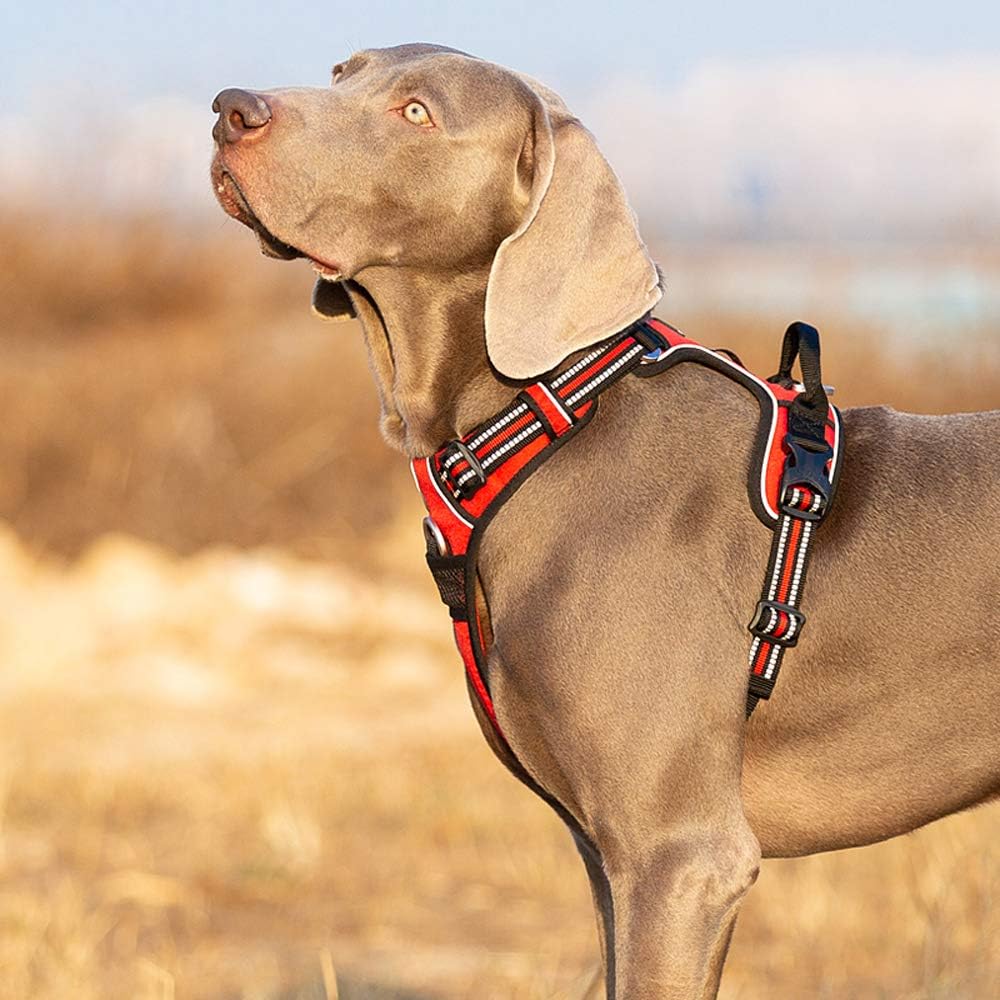 TRUE LOVE Dog Harness No Pull Nylon Reflective Pet Harness Adjustable Comfortable Control Step-in Brilliant Colors Truelove TLH56512 Red