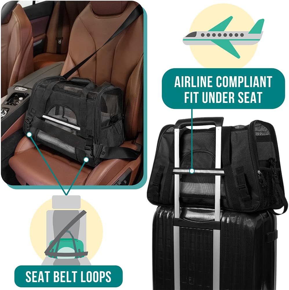 PetAmi Airline Approved Pet Carrier for Cat, Soft Sided Dog Carrier for Small Dogs, Cat Travel Supplies Accessories for Indoor Cats, Ventilated Pet Carrying Bag Medium Large Kitten Puppy, Large Black