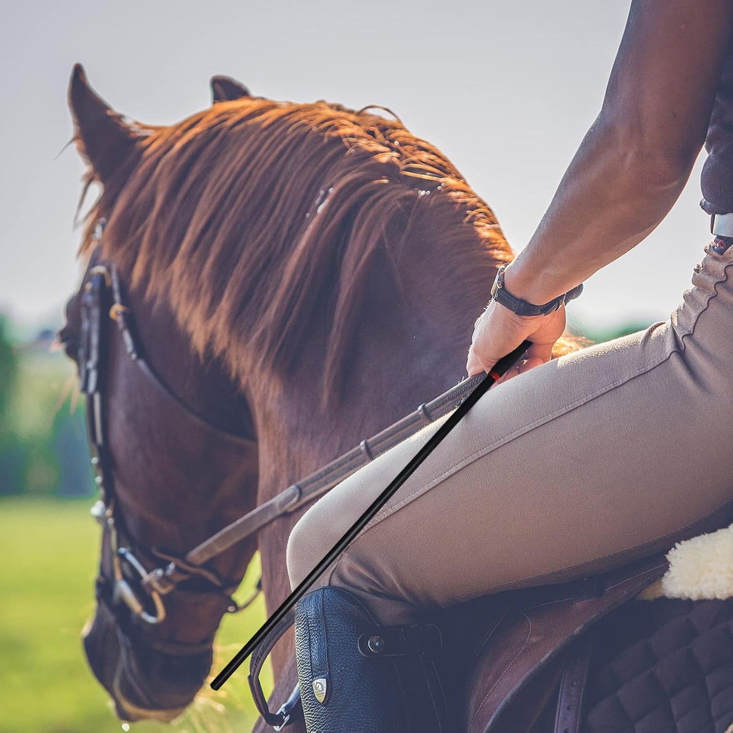18-inch Horse Riding Crop 2-Piece Set, Black