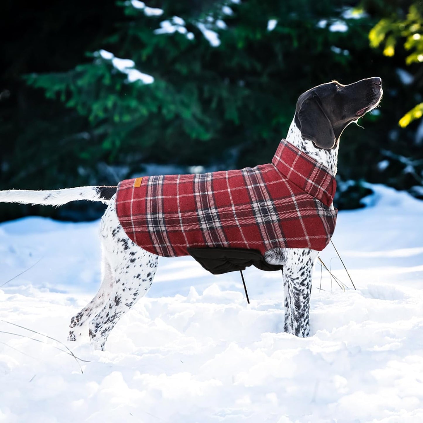 Kuoser Waterproof Dog Coat, Reversible Dog Jacket for Medium Dogs, Adjustable Durable Doggie Winter Coat Warm Puppy Cold Weather Apparel from Small to Large Breed, Red M