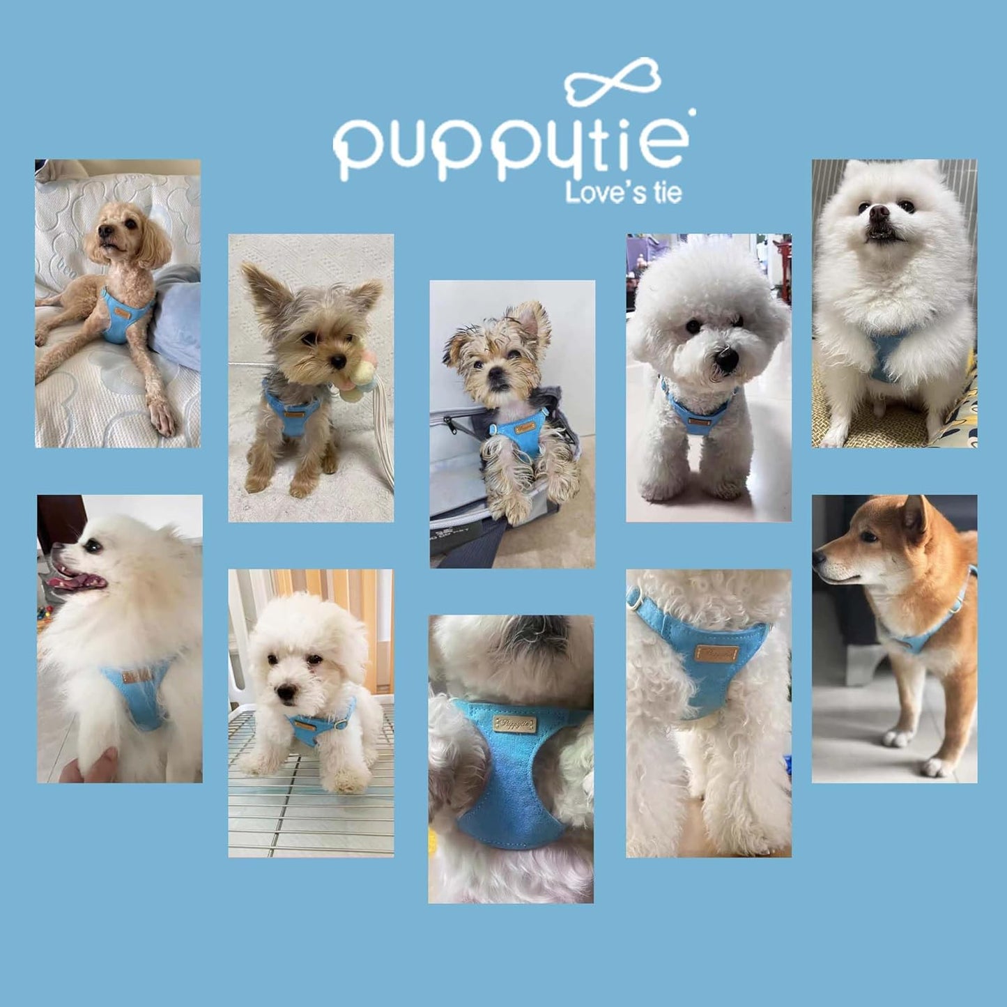 Puppytie No Pull Small Dog Harness with Multifunction Dog Leash,Lightweight Soft Adjustable No Choke Escape Proof Pet Harness Vest Pet Harness Vest,Ocean Blue,S