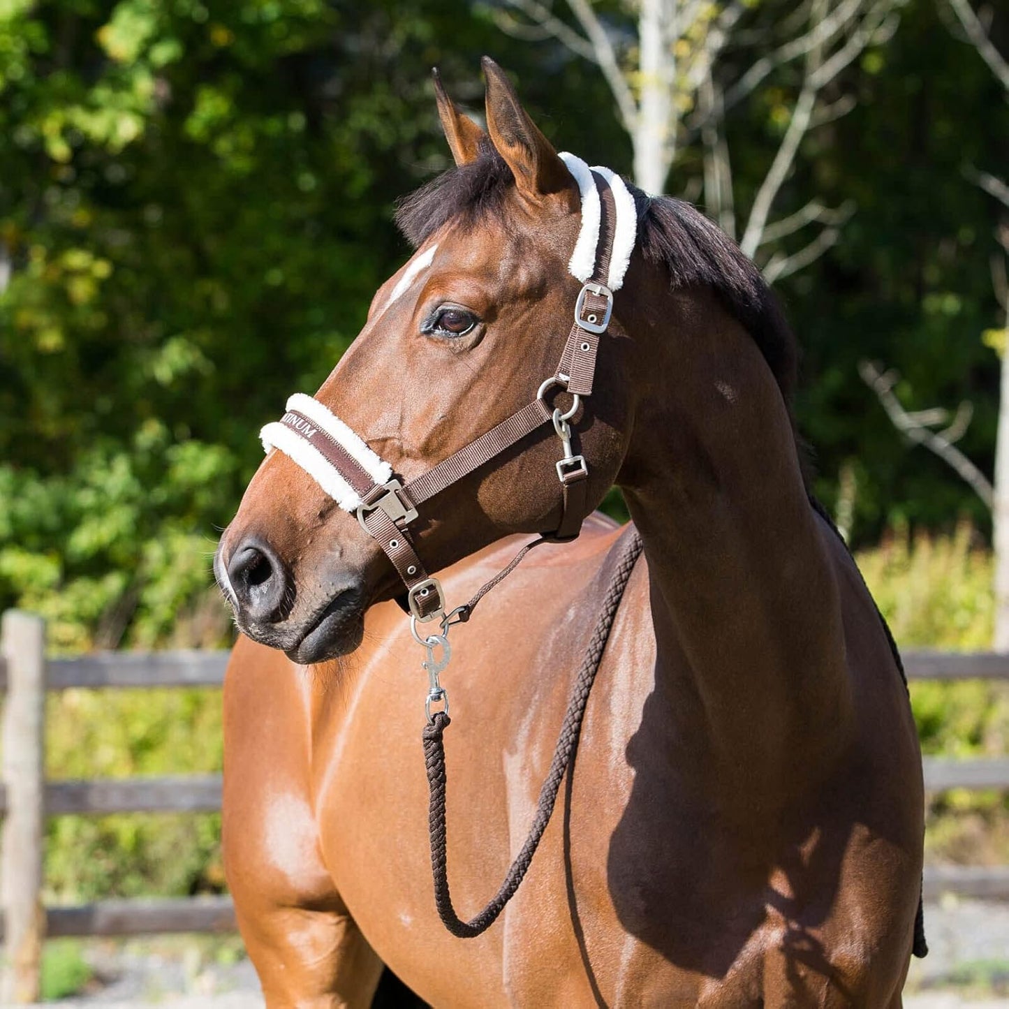 HORZE Howard Soft Fleece Padded Adjustable Polyester Horse Halter - Dark Brown - Pony