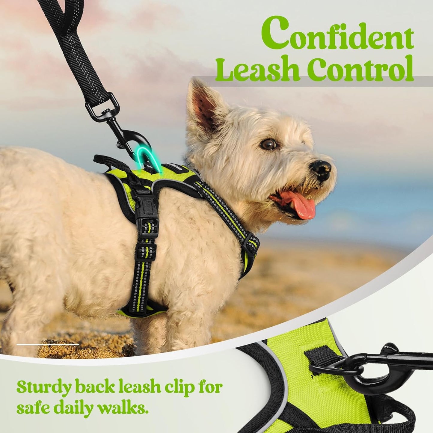 rabbitgoo Dog Harness No Pull with 2 Leash Clips, Adjustable Soft Padded, Reflective Oxford No Choke Pet Vest with Easy Control Handle for Puppy, Green, XS