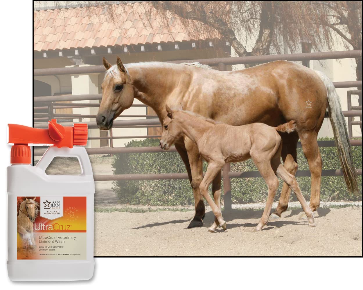 UltraCruz® Veterinary Liniment Wash for Horses, 32 oz with Travel Sprayer