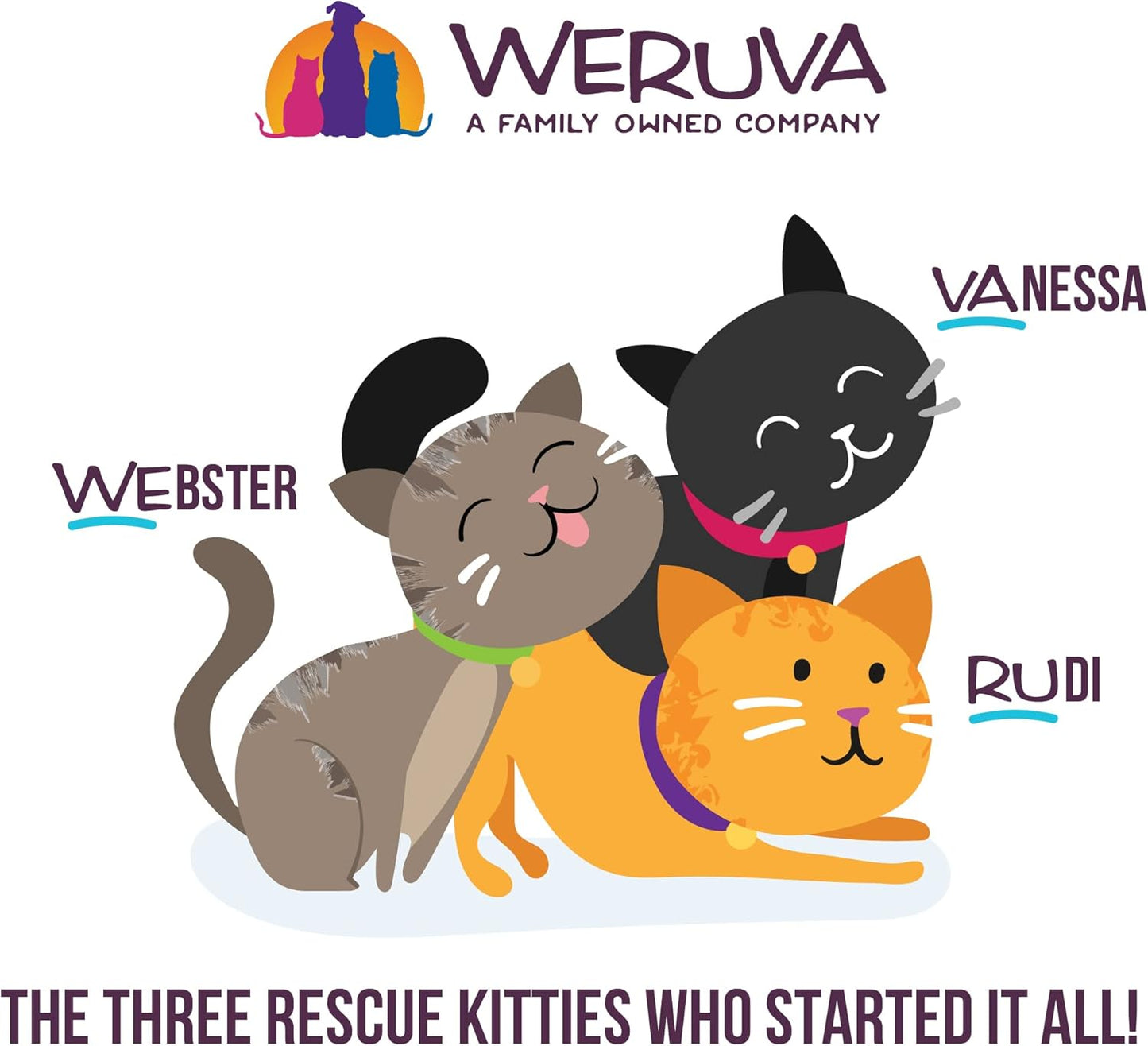 Weruva B.F.F. Play - Best Feline Friend Paté Lovers, Aw Yeah!, Chicken & Beef Best Buds with Chicken & Beef, 2.8oz Can (Pack of 12)