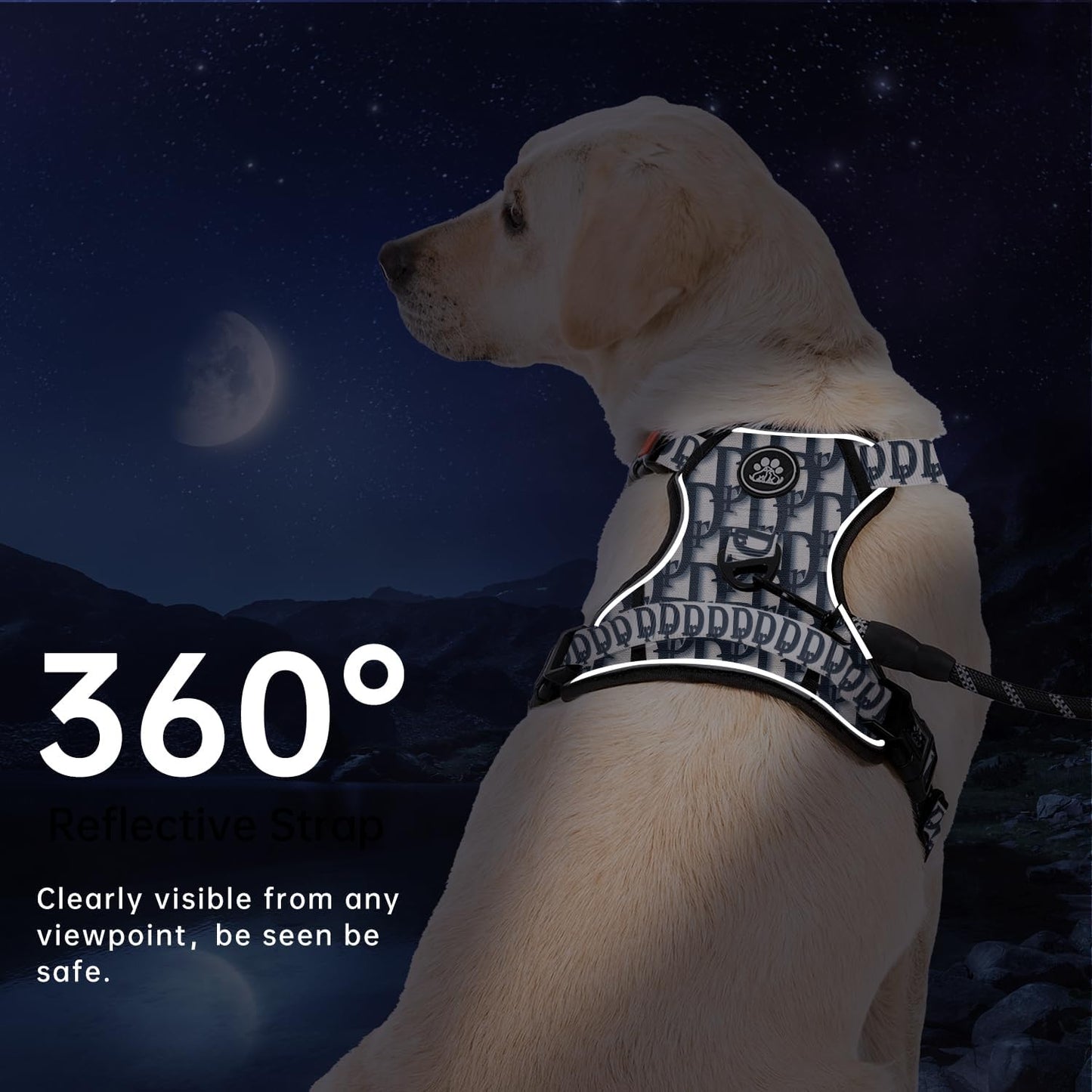 IVY&LANE No Pull Dog Harness with Leash Set, Reflective No Choke Pet Vest,Adjustable Oxford Dog Vest Harness with Easy Control Handle for Large Dogs (Vintage Blue,L)