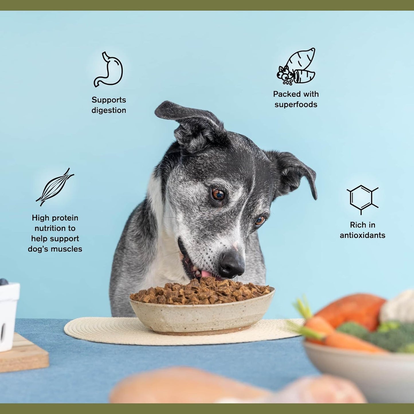 BADLANDS RANCH - Superfood Complete, Adult Dog Food, Air-Dried, High Protein, Zero Fillers, Superfood Nutrition by Katherine Heigl (24 oz., Beef Formula)