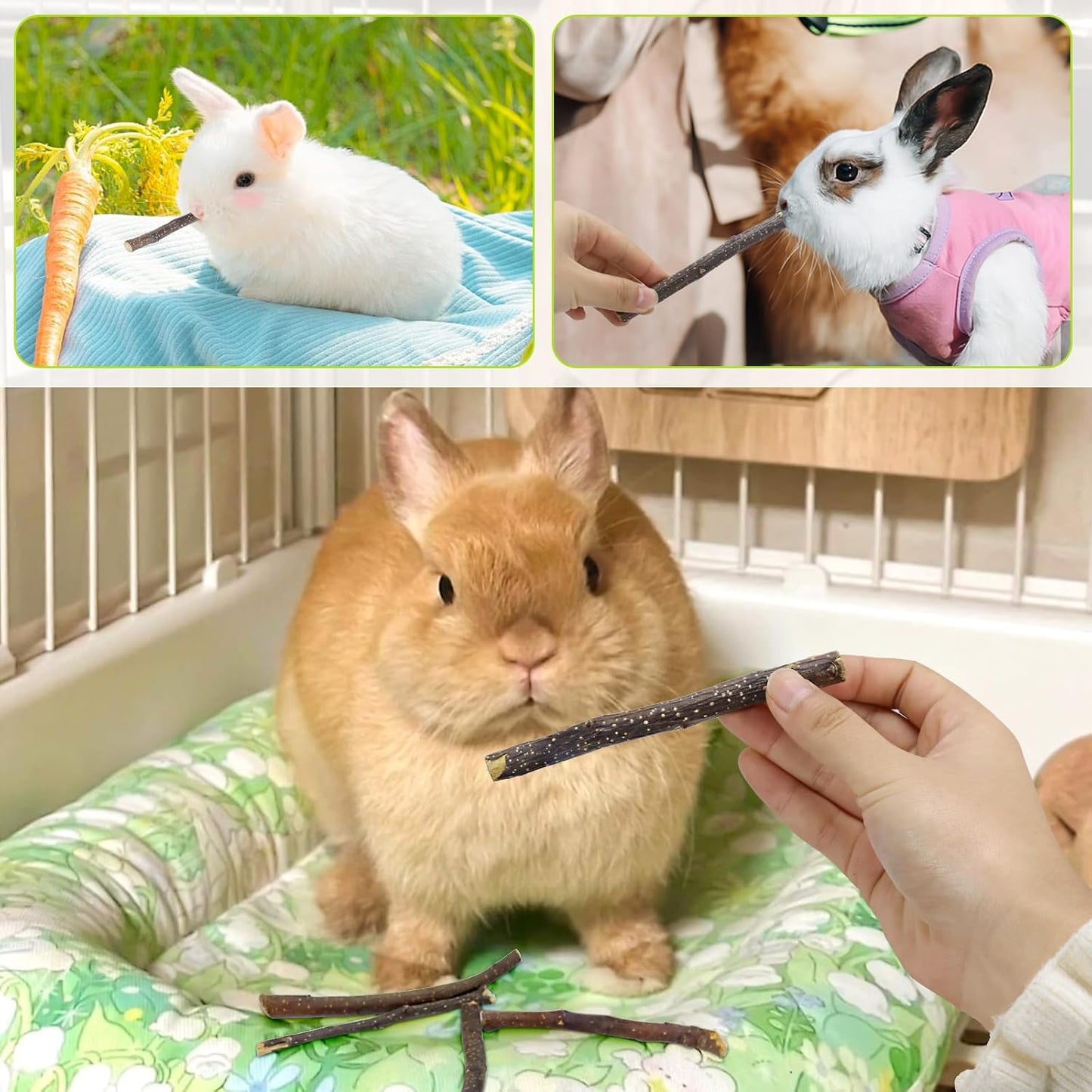 600g Small Apple Sticks Animals Molar Wood Treats Toys for Rabbits Chinchillas Guinea Pig Hamster Gerbil Parrot Bunny Chew Stick Toys Treats, 21.2 OZ
