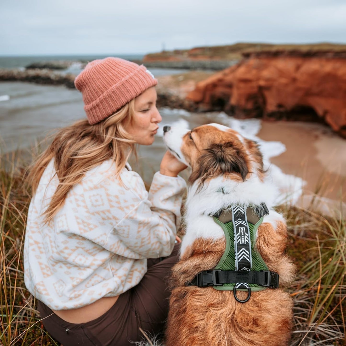 Wilderdog Lightweight Dog Harness with Reflective Straps - Small - Olive