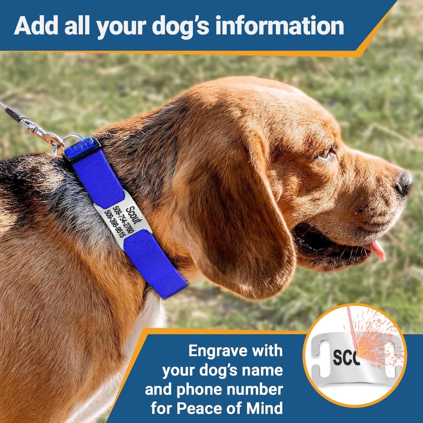 GoTags Personalized Dog Collar with Nameplate, Adjustable Dog Collar with Custom Engraved Slide On Pet ID Tag in Stainless Steel, Silent, No Noise Dog Tag for Large Medium and Small (Orange, Medium)