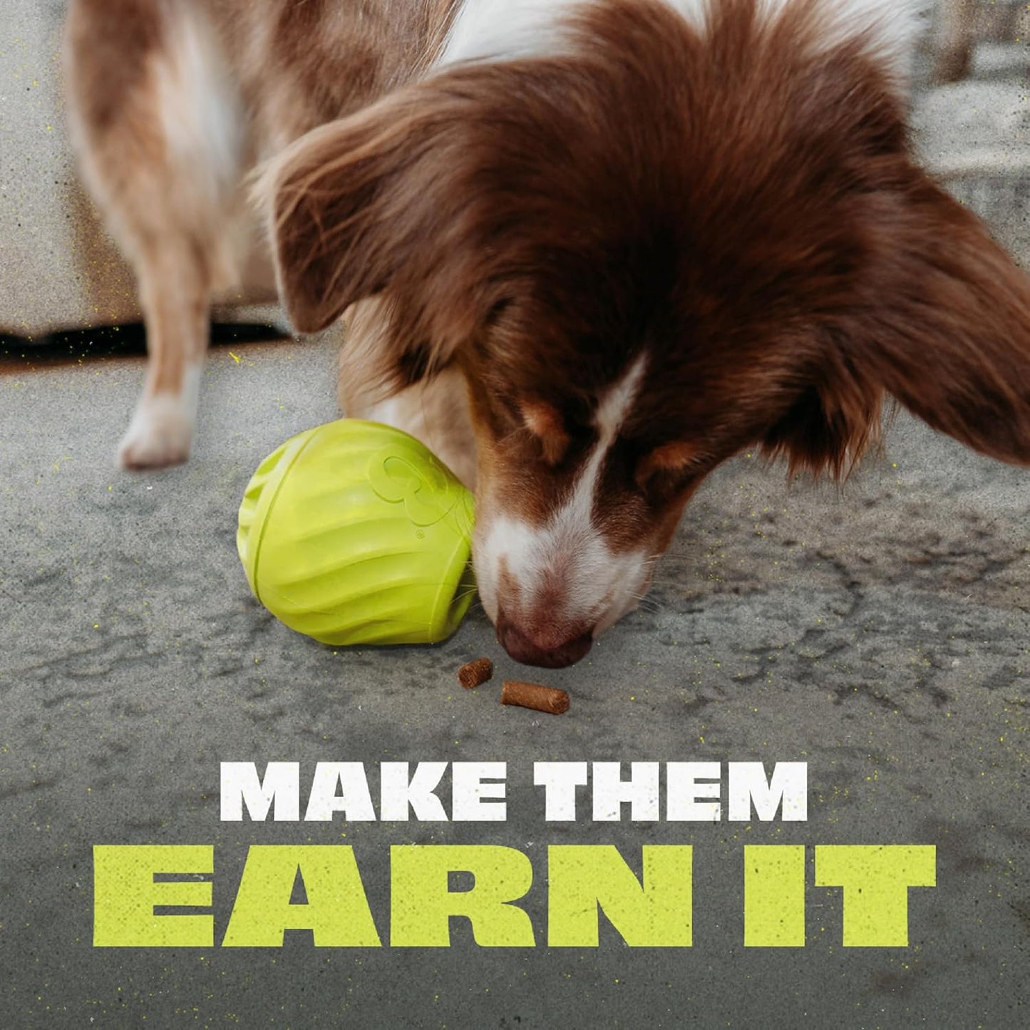 Benebone 3-Pack Ball/Bone Medium/Pawbler