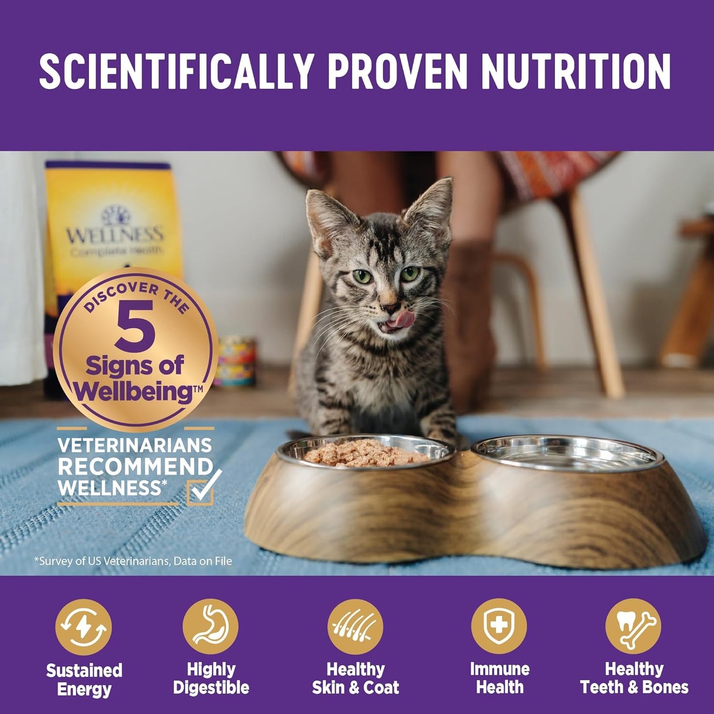 Wellness Complete Health Pate Adult Wet Cat Food, Natural, Protein-Rich, Grain Free, 3 Ounce, 24 Pack, (Chicken)