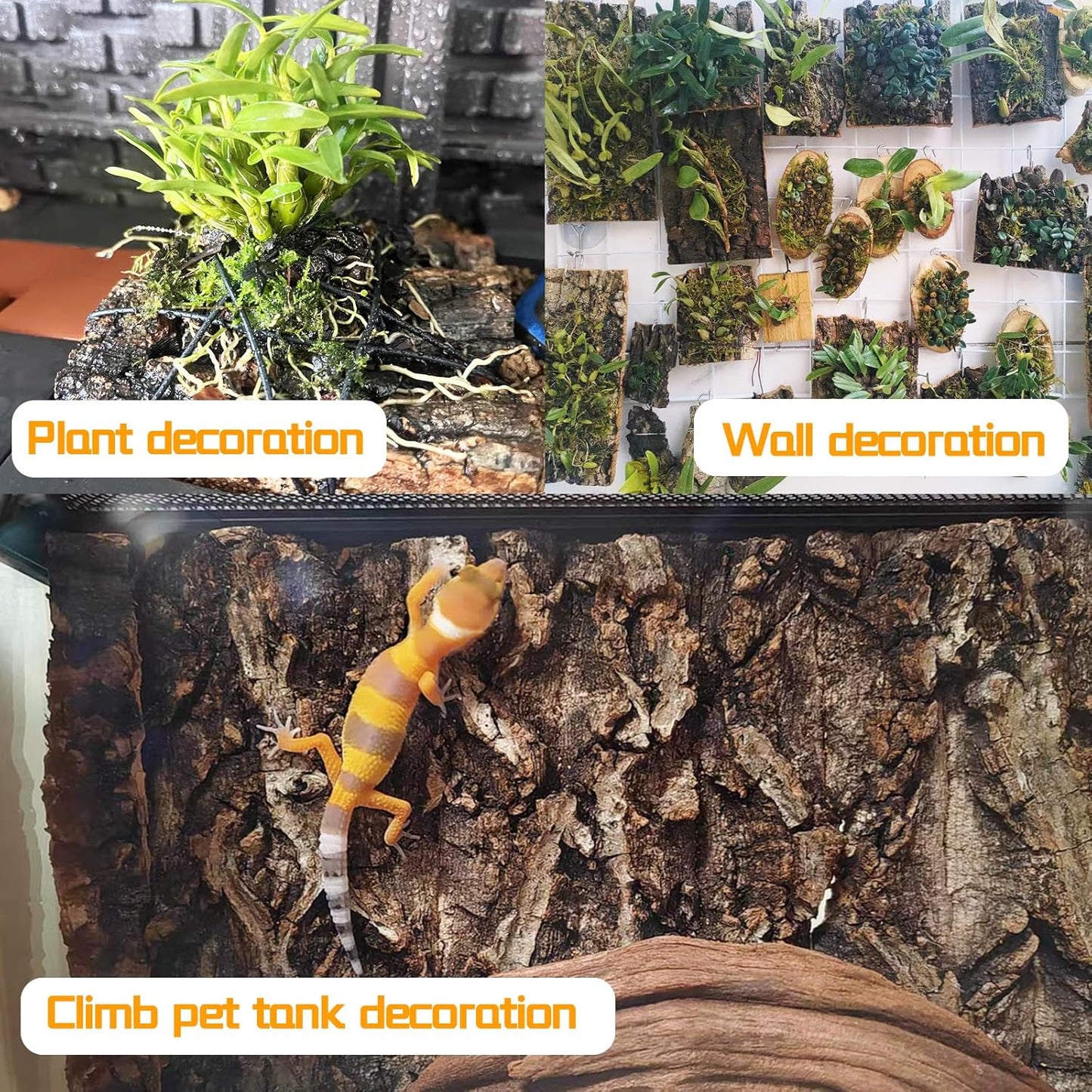 6PCS Cork Terrarium Background 15.7x11.8in Natural Large Cork Bark Backdrop Reptile Climbing Mat Tank Habitat Decor for Spider Lizard Chamelon Turtle Beared Dragon