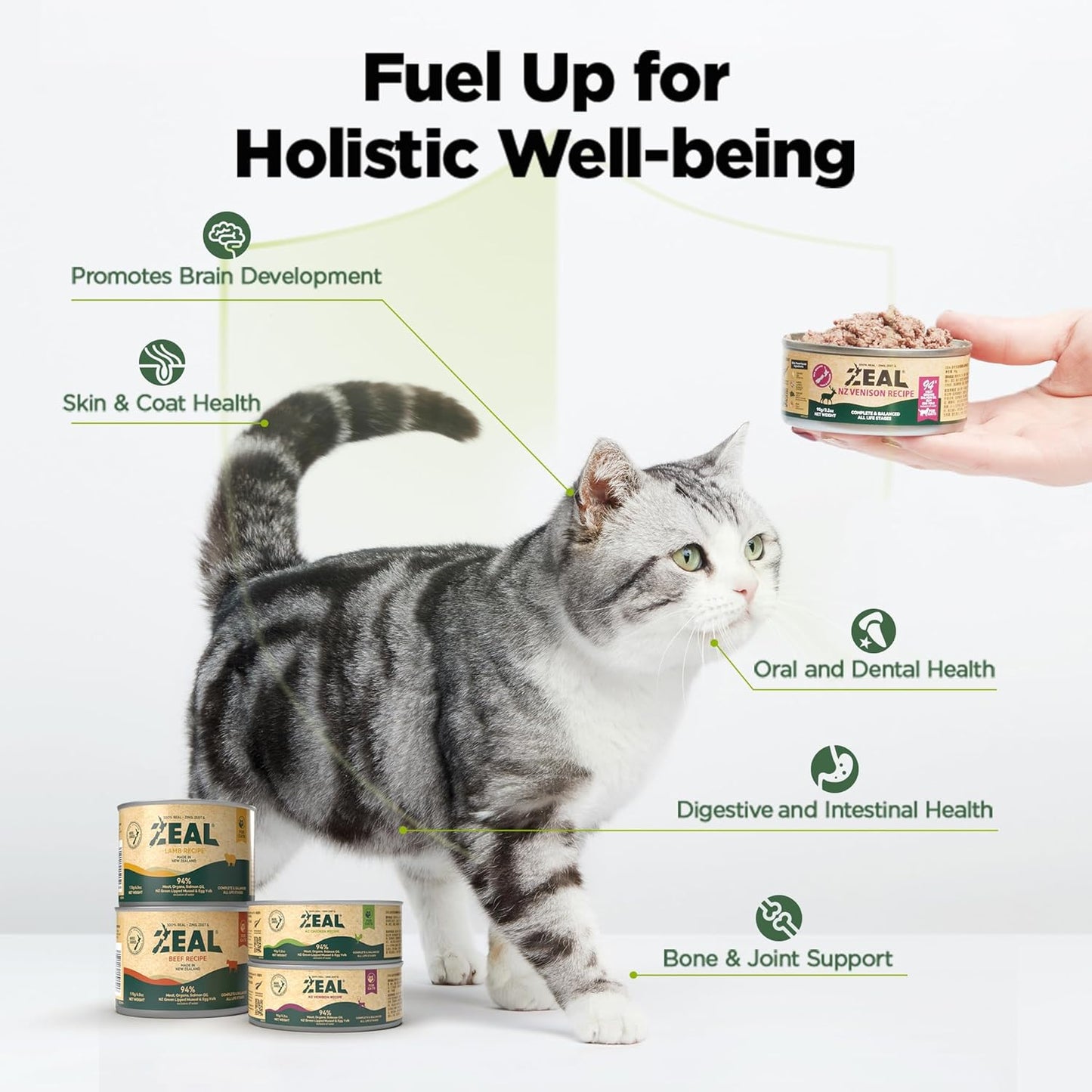 ZEAL New Zealand Wet Cat Food – High Protein, Grain-Free with Superfoods (Venison, 3.17oz Can, 24-Pack)