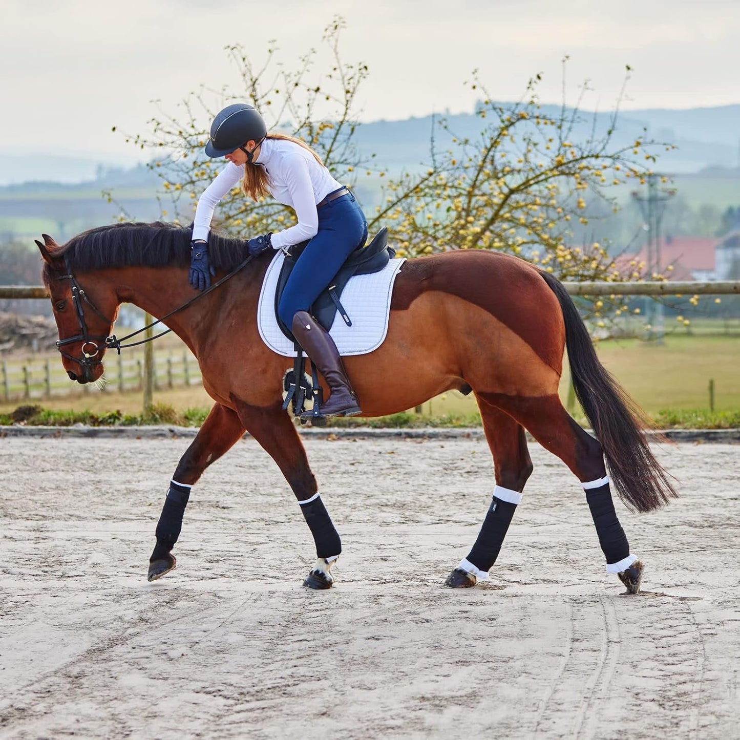 HORZE Rear Leg No Bow Equine Standing Wraps Pair - Off-White - Horse