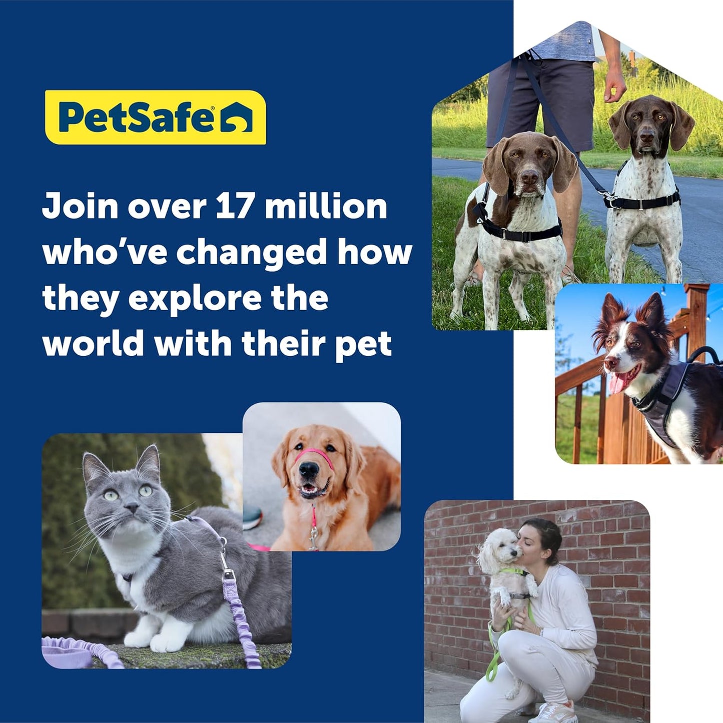 PetSafe 3 in 1 Dog Harness - No Pull Solution for Dogs - Reflective Dog Harness - Front D-Ring Clip Helps Stop Pulling - Comfortable Padded Straps - Top Handle Enhances Control - Plum - Small