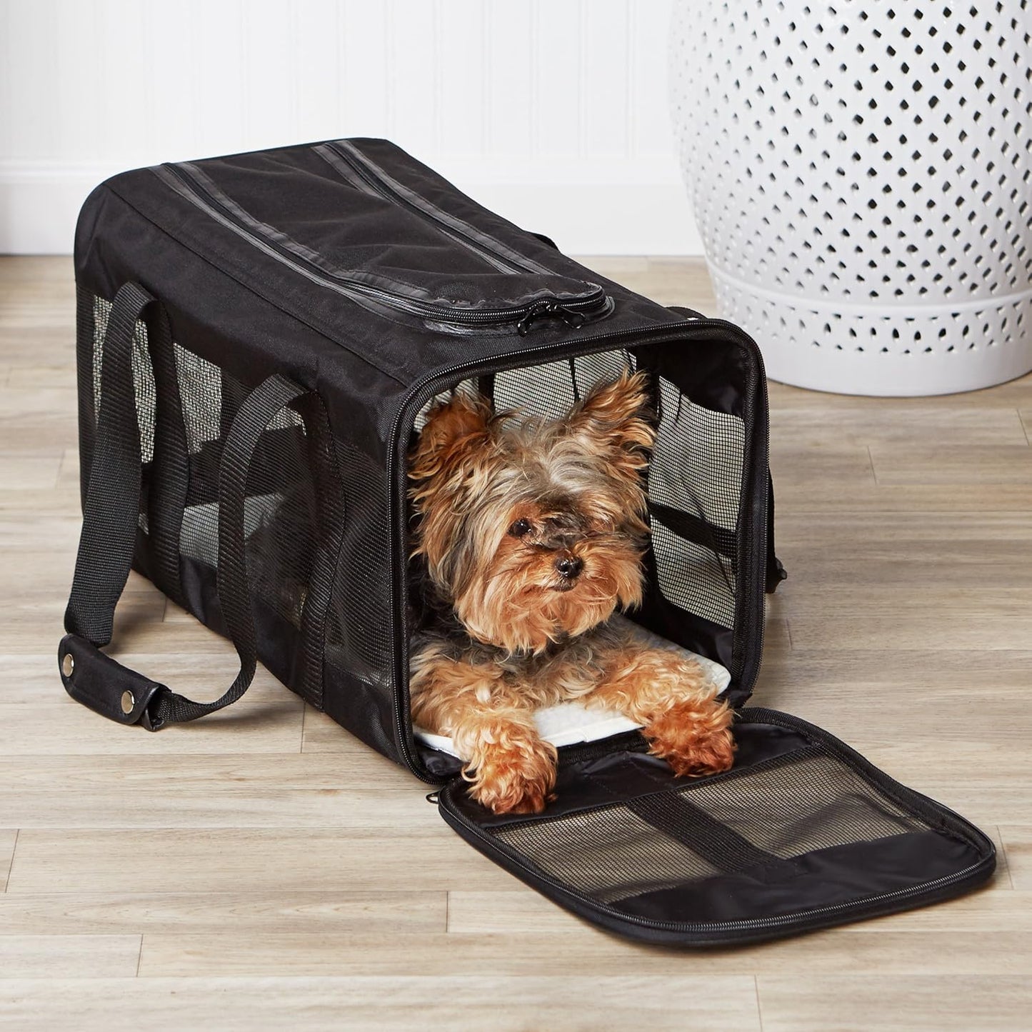 Amazon Basics Soft-Sided Mesh Pet Travel Carrier for Dog, Cat, up to 22 pounds, 19.7" L x 12" W x 12" H, Black