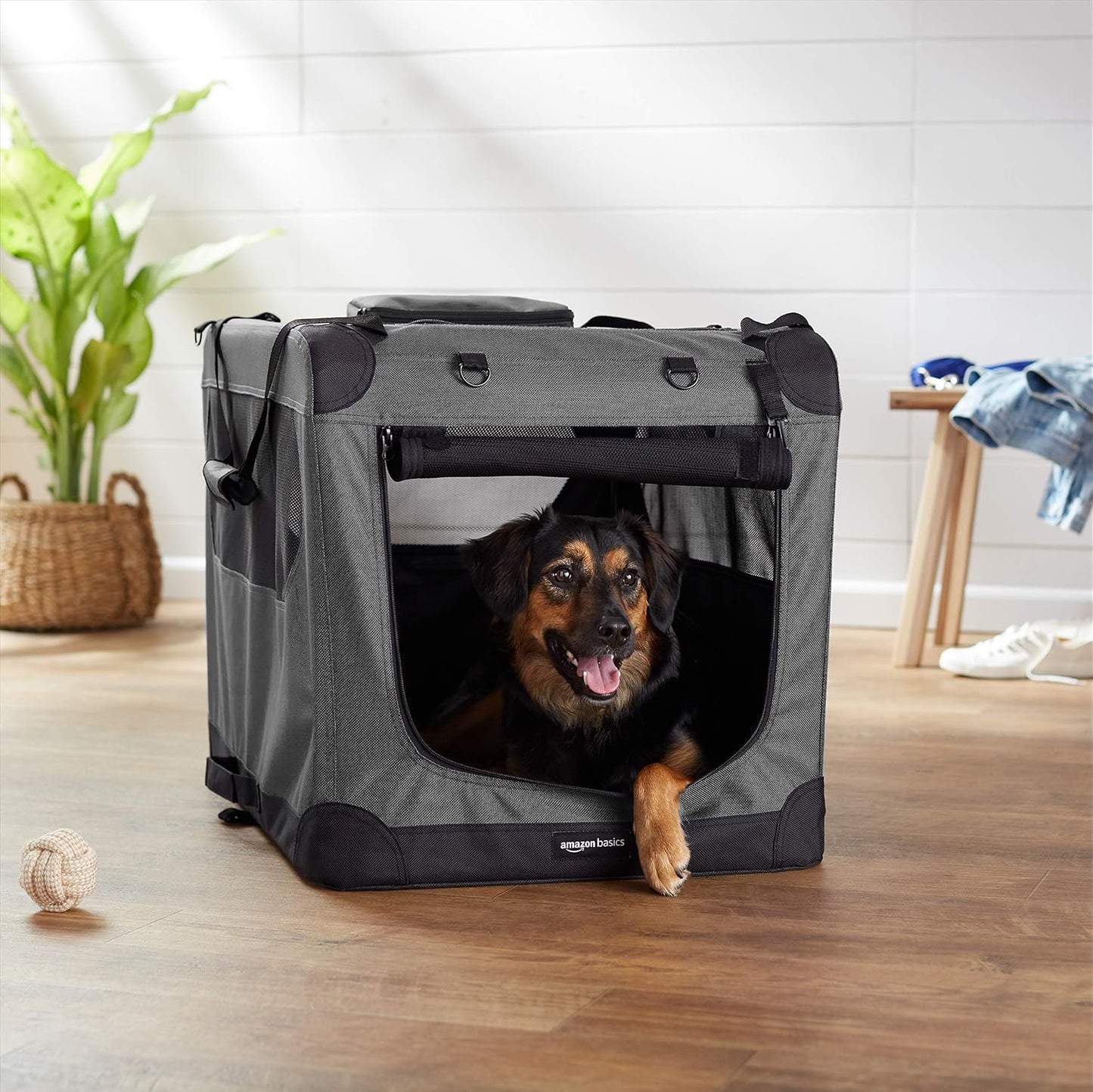 Amazon Basics Folding Portable Soft Pet Dog Crate Carrier Kennel, 30 x 21 x 21 inches, Grey