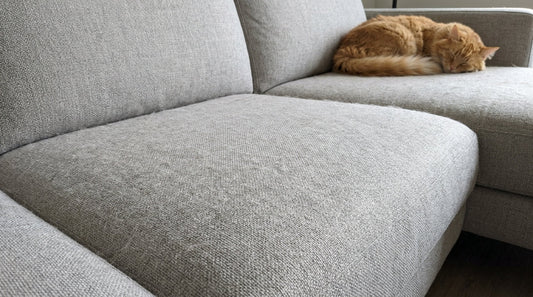 How to Clean Cat Hair from Modern Home Fabrics and Upholstery