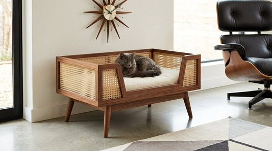 Modern Cat Bed Styles That Complement Mid-Century Interior Design