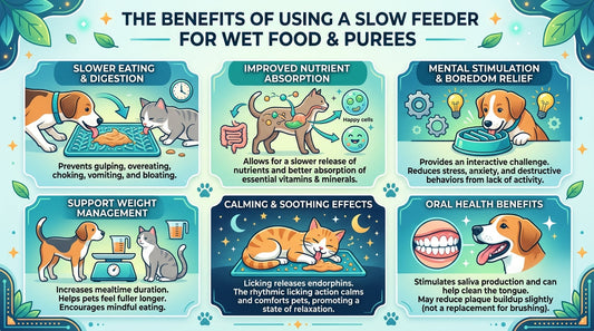 The Benefits of Using a Slow Feeder for Wet Food and Purees