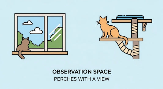 The Most Overlooked Needs of Indoor Cats