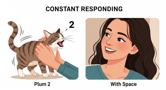 Indoor Cat Care Mistakes That Seem Helpful but Aren’t