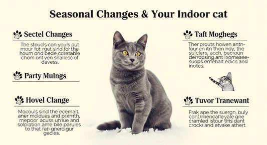 How to Help Indoor Cats Adjust to Seasonal Changes