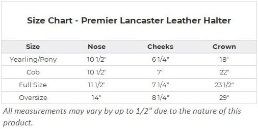 Dura-Tech Premier Lancaster Leather Halter for Horses | Simple Economy Leather Halter with Adjustable Fit & Solid Brass Hardware