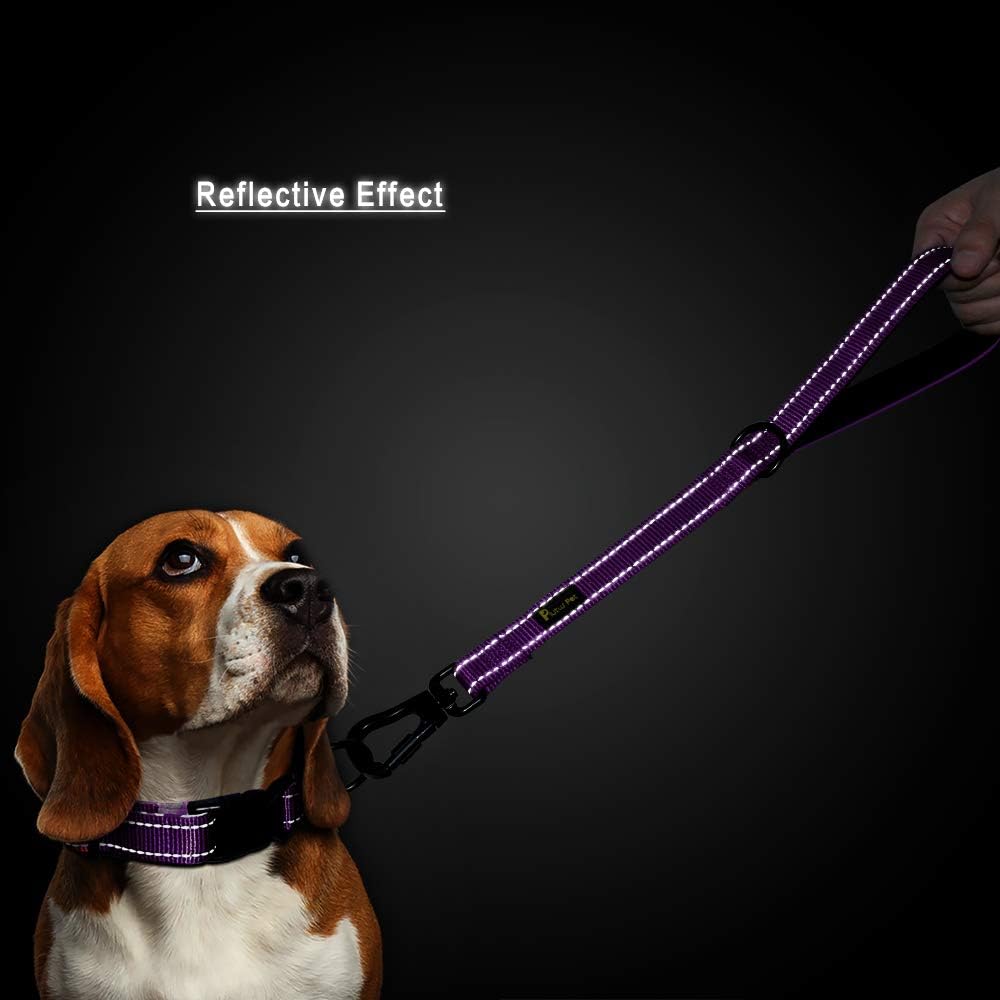 PLUTUS PET Short Training Dog Leash with Padded Handle for Medium Large Big Dogs,18 Inch Heavy Duty Strong Traffic Leash with Carabiner Clip for Climbing Walking or Guiding Blind (18",Purple)