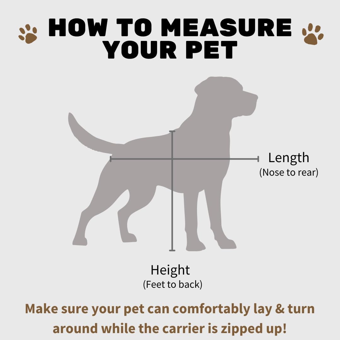 SturdiBag Pro 2.0 Pet Travel Carrier with Flexible Height for Cats and Dogs | Soft Sided Pet Carrier Bag with Safety Clips and Seatbelt Straps for Airplane or Car Travel | Medium, Blue Jay