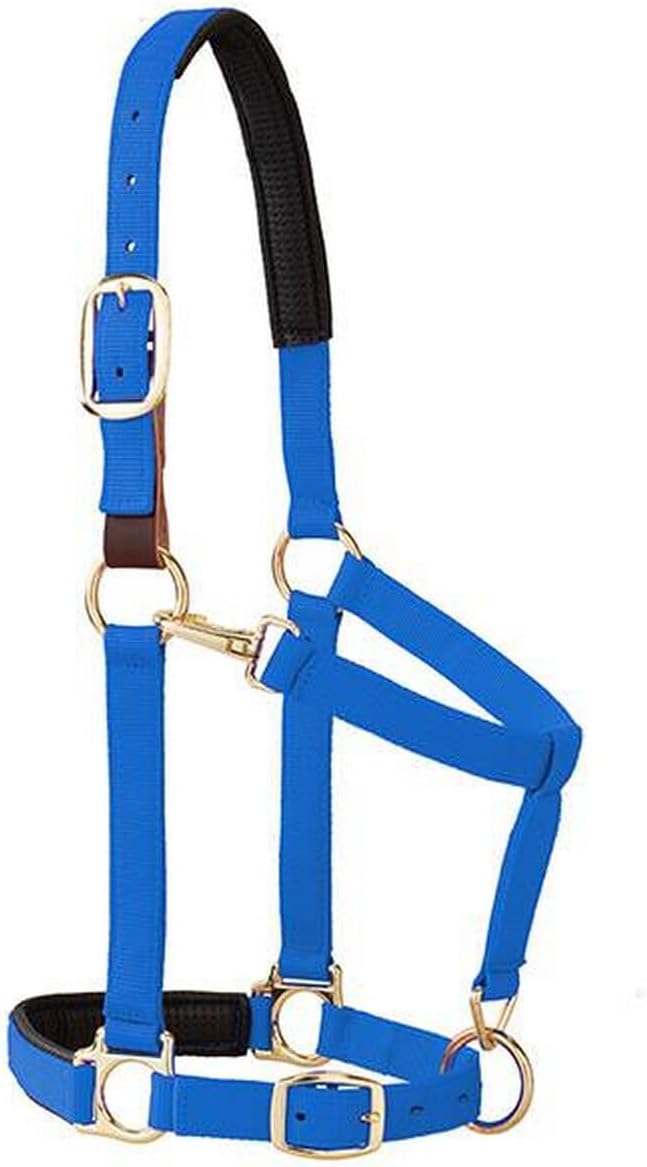 Weaver Equine Breakaway Horse Halter, Comfort Foam Padding, Adjustable Chin & Throat Snap Halters for Horses, Equine Tack,Average Size, Purple