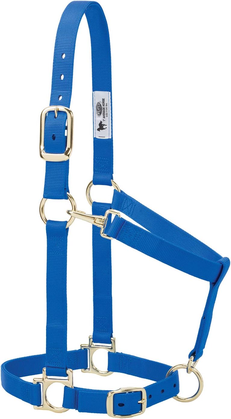 Weaver Equine Nylon Horse Halter, Triple-Ply Cheek Design, Original Non Adjustable Halters for Horses, Equine Tack,Average Size, Black