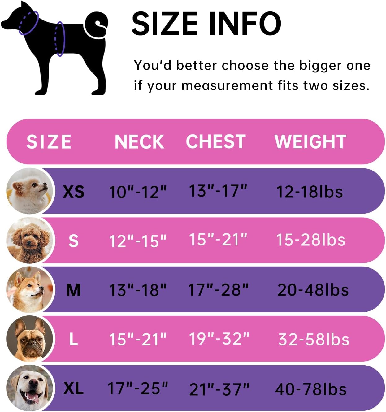 IVY&LANE No Pull Dog Harness for Large Dogs, Dog Vest Harness with Leash, Safety Belt and Storage Strap, Fully Adjustable Harness, 360° Reflective Strip, Soft Handle (Fuchsia Pink, XL)