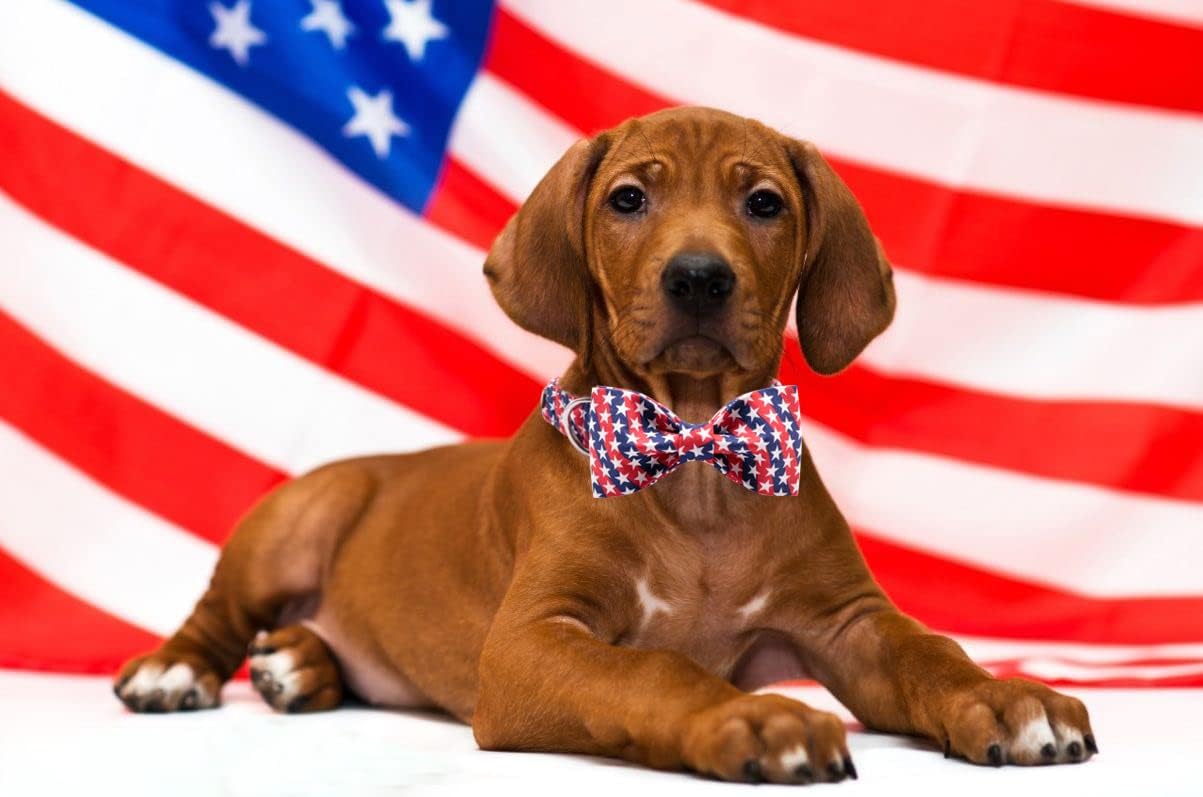 Lionet Paws Patriotic Dog Collar with Bowtie, 4th of July, Soft and Comfortable, Adjustable Collar for Medium Dogs, Neck 13.5-22 inches