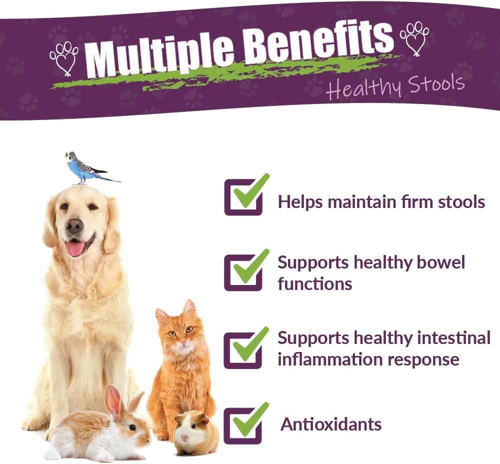 Amber NaturalZ Kochi Free Herbal Supplement for Dogs, Cats, Birds, Rabbits, and Guinea Pigs | Supports Healthy Bowel Function | Natural Aid for Digestive Balance | 16 Fluid Ounce Glass Bottle