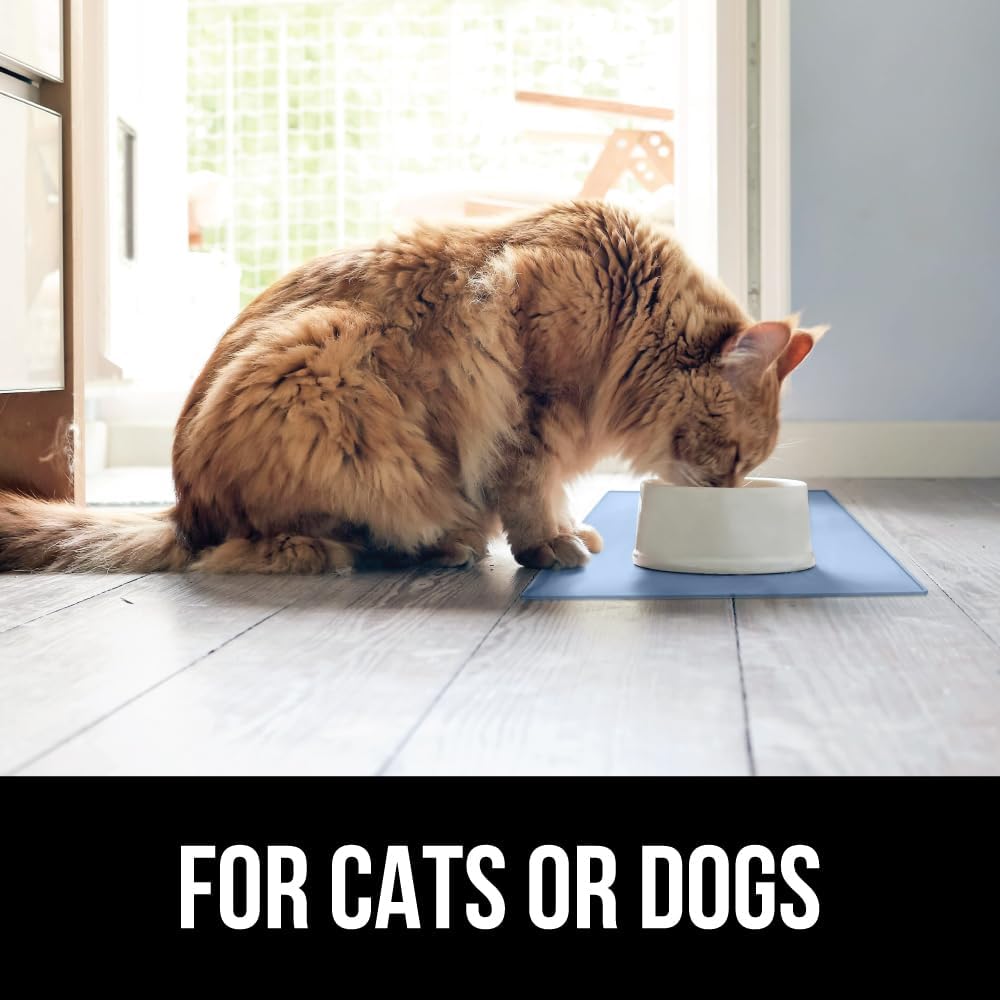 GORILLA GRIP 100% Waterproof Raised Edge BPA Free Silicone Pet Feeding Mat, Dog Cat Food Mats Contain Spills Protects Floors, Placemats for Cats and Dogs Water Bowl, Pets Accessories 16x10, Blue