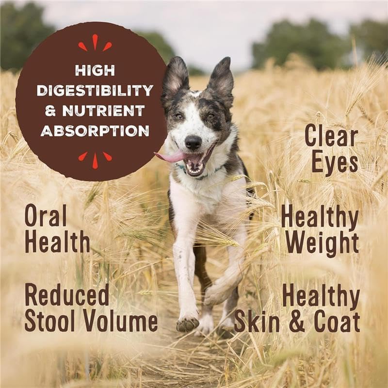 Primal Freeze Dried Raw Dog Food Nuggets, Pork, Complete & Balanced Meal, Also Use as Topper or Treat, Premium, Healthy, Grain Free, High Protein Raw Dog Food, 14 oz (Pack of 4)