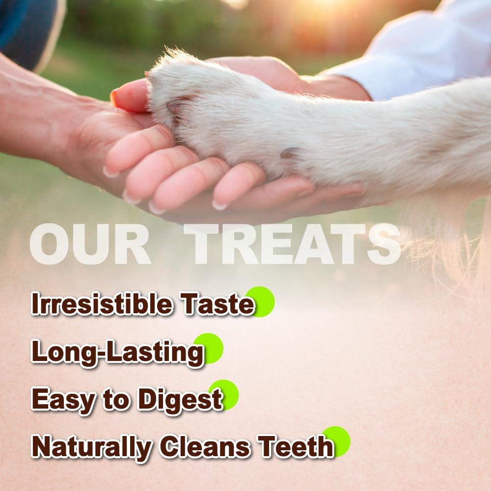 Afreschi Turkey Tendon Ring (M) 3.17 oz, USA-Sourced Turkey Tendon, All Natural Human Grade Dog Chew, Hypoallergenic, Rawhide Alternative, Dog Treats for Medium Breeds