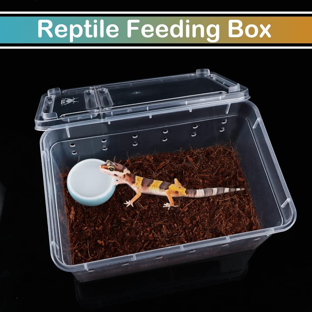 5 Pcs Spider Small Terrariums Breeding Box Transparent Hatching Container Plastic Feeding Box for Small Reptile Spider Scorpion Centipede Insect