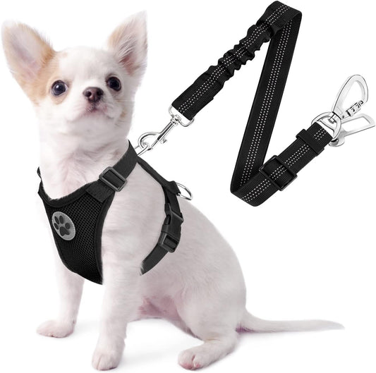SlowTon Dog Seat Belt Harness for Car, Dog Car Harness Adjustable Mesh Breathable & Dog Seatbelt Safety Tether with Elastic Bungee for Small Medium Large Pets(Black, Double Clip, XXS)