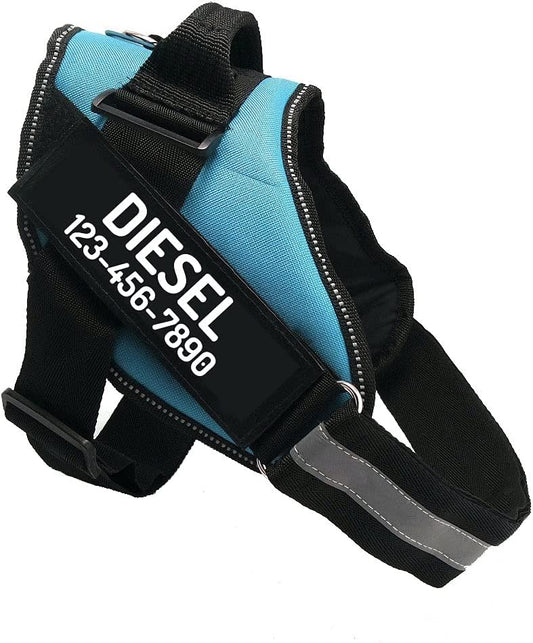 PawPawify Custom No Pull Dog Harness with Name and Phone Number, Heavy Duty Personalized Pet Vest to Prevent Tugging, Pulling, or Choking, Training and Walking (SkyBlue, L (40-60 LBS))