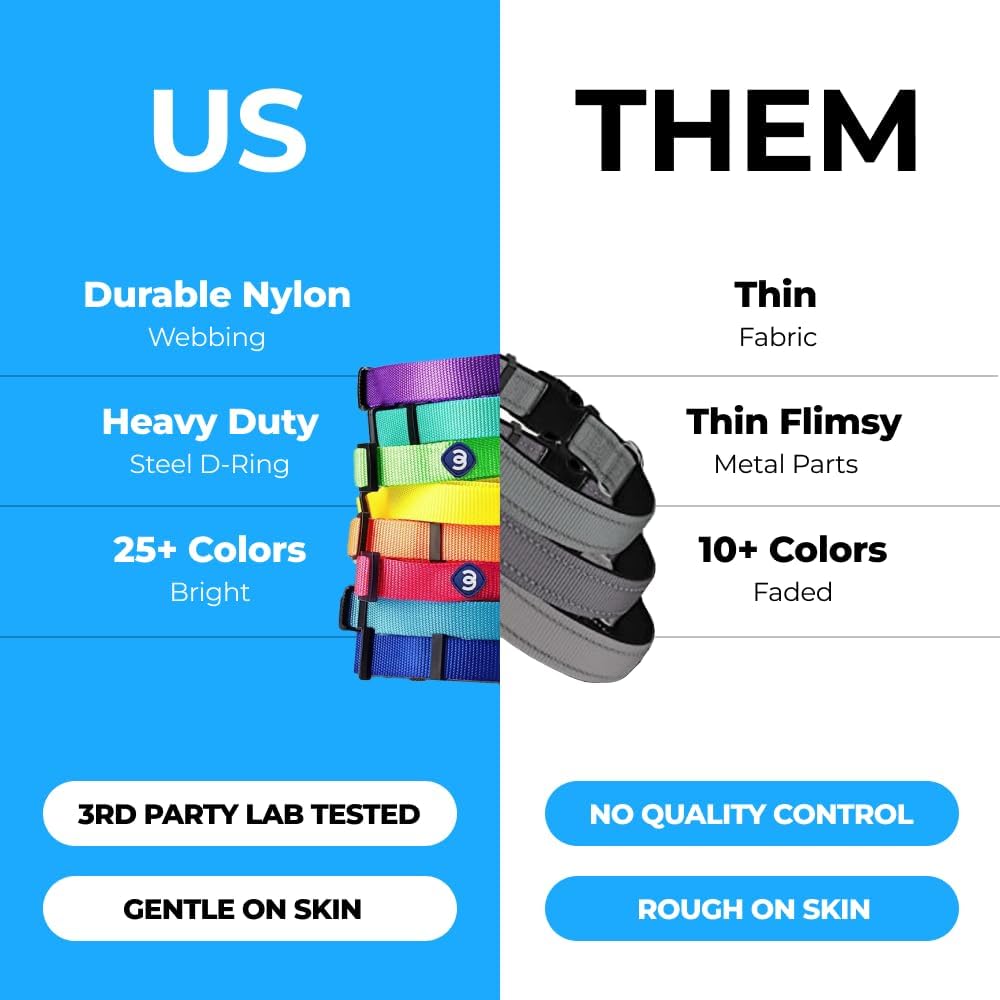 Blueberry Pet Essentials Neon Green Adjustable & Durable Large Dog Collar for Boys | Classic Collars for Large & Small Dogs, Stylish, Sturdy Nylon Collar for Pet Lovers