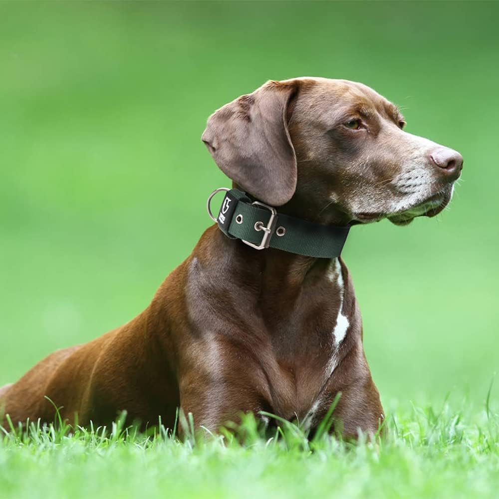 TSPRO Tactical Dog Collar 1.25 Inch Wide Thick Dog Collars with Heavy Duty Metal Buckle, Durable, Strong, Adjustable for Small Dogs (Black S)