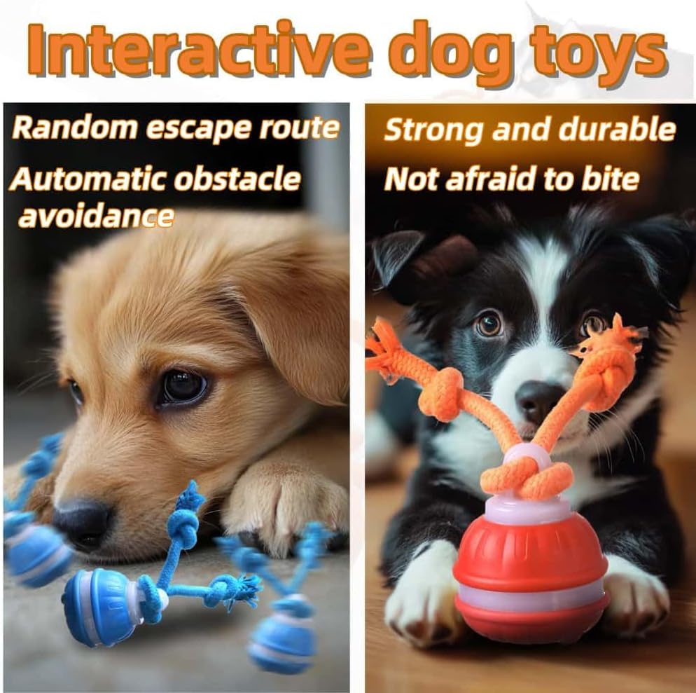 Interactive Dog Toys, Squeaky Dog Toys, Active Rolling Ball for Puppy and Medium Dogs, Squeaky, USB Rechargeable (Orange+Blue)
