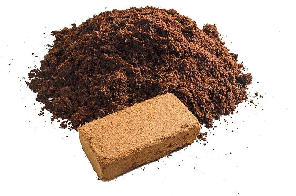 Cat Grass Growing Soil (4 Quarts), Soil for Starting and Growing Cat Grass, Loose Coconut Coir for Growing Cat Grass