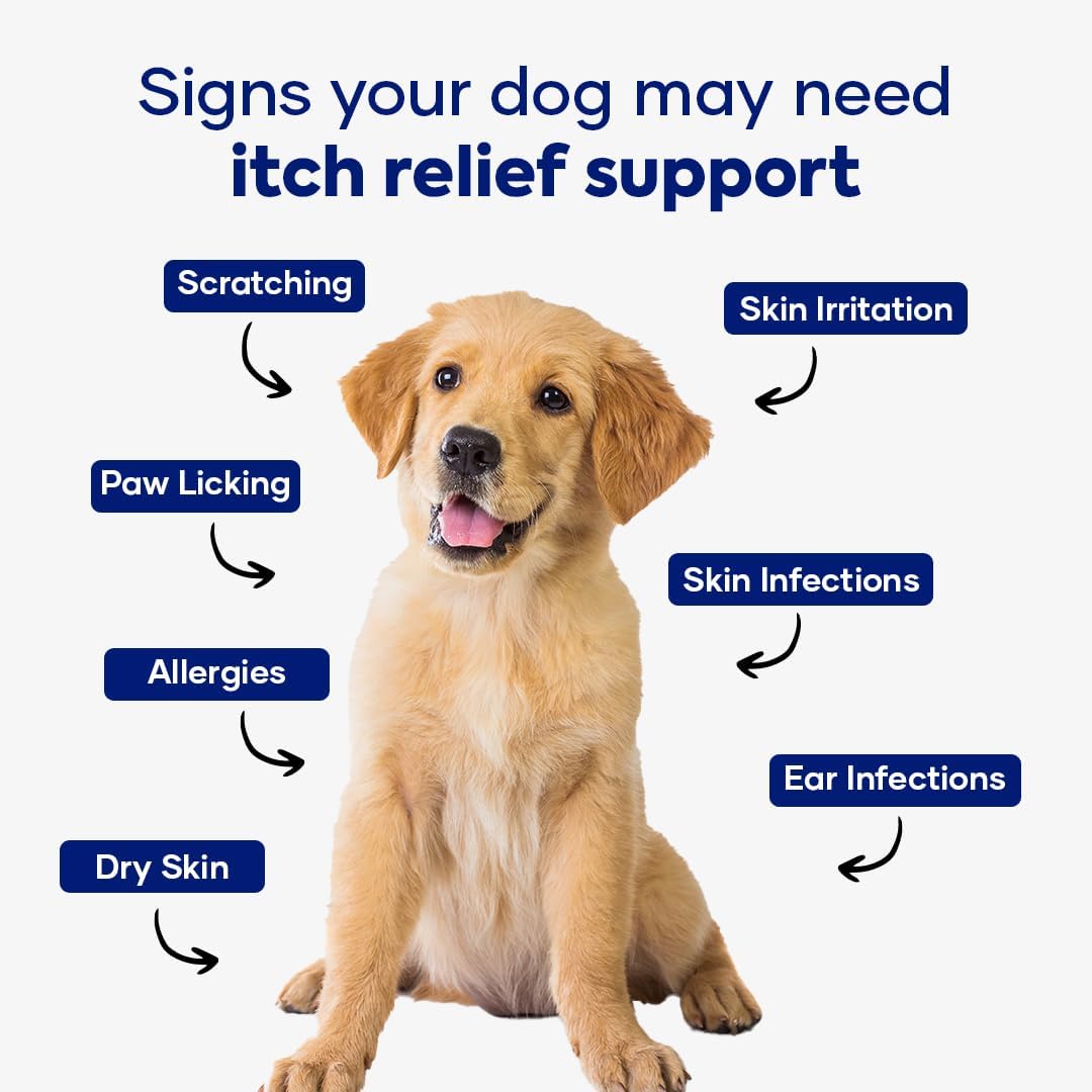 Itch Relief Formula for Dogs – Vitamin E & Borage Oil Supplement – Packed with Beneficial Fatty Acids for Healthy Skin – Seasonal Allergies Support Chews | Pack of 2