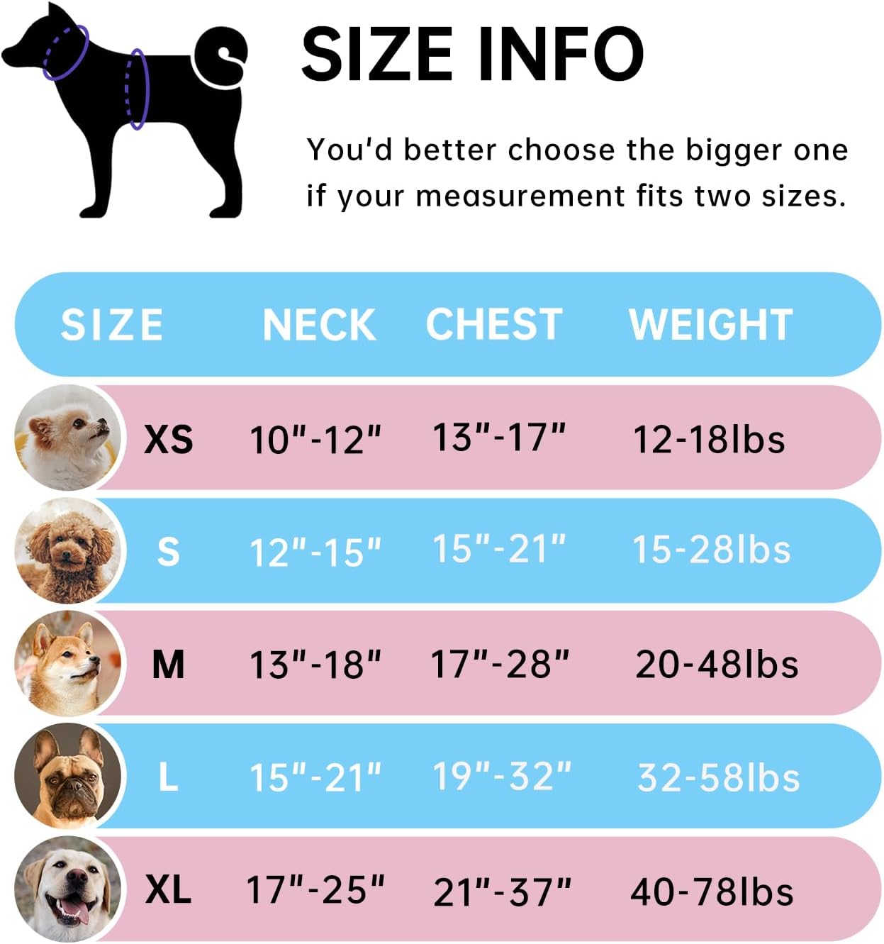 IVY&LANE No Pull Dog Harness with Leash Set, Reflective No Choke Pet Vest,Adjustable Oxford Dog Vest Harness with Easy Control Handle for Medium Lagre Dogs (Checkered Blue,M)