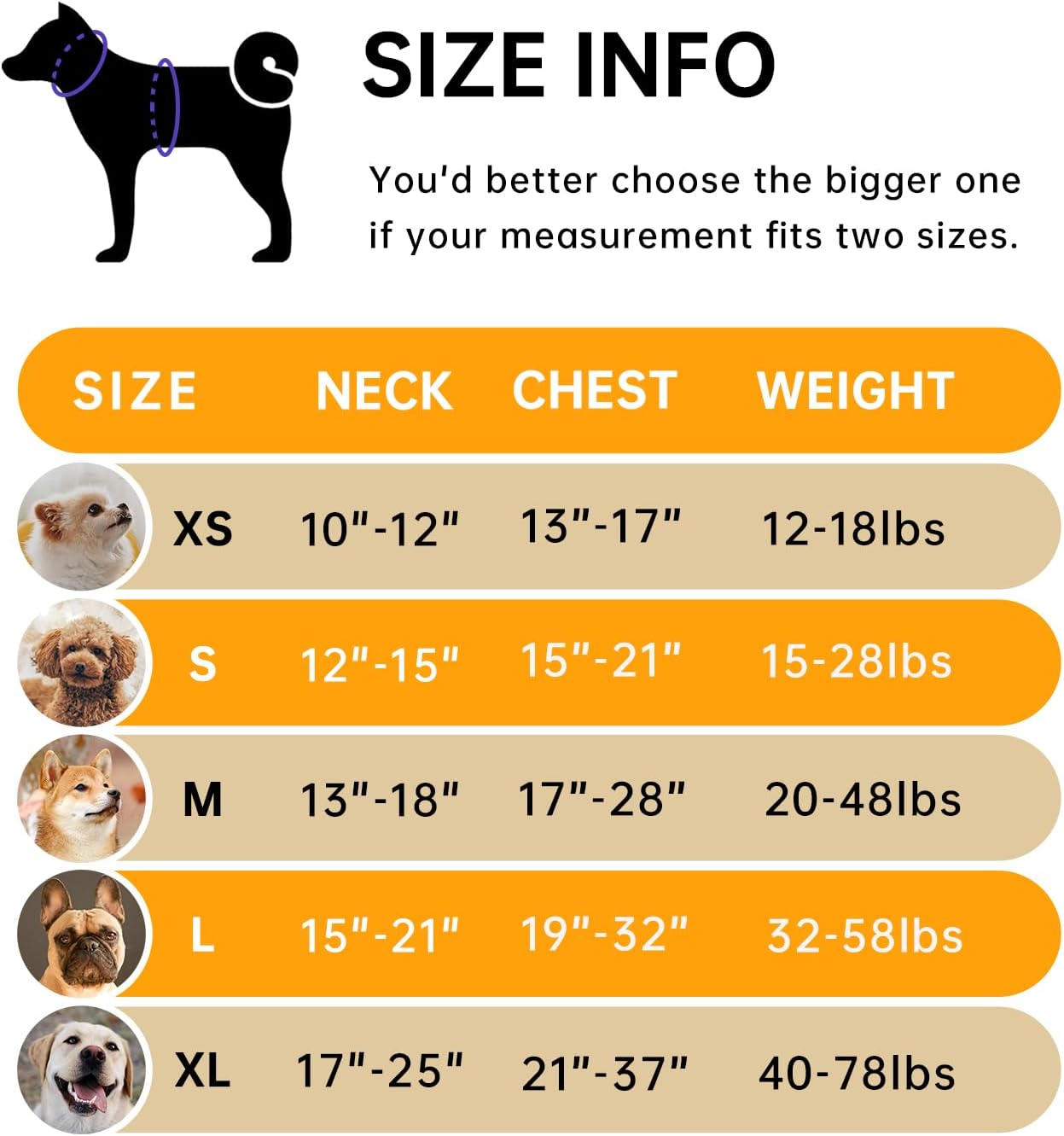 IVY&LANE No Pull Dog Harness for Large Dogs, Dog Vest Harness with Leash, Safety Belt and Storage Strap, Fully Adjustable Harness, 360° Reflective Strip, Soft Handle (Orange, L)