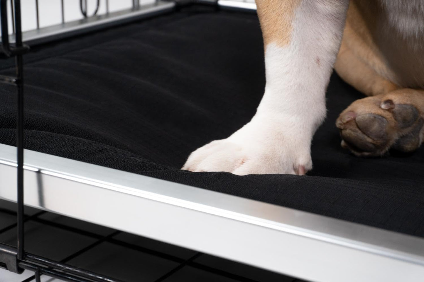 K9 Ballistics Chew Proof Armored Padded Dog Crate Bed, Virtually Indestructible, Legs Included (Obsidian Black, Small (29" L x 18" W x 4.5" H))